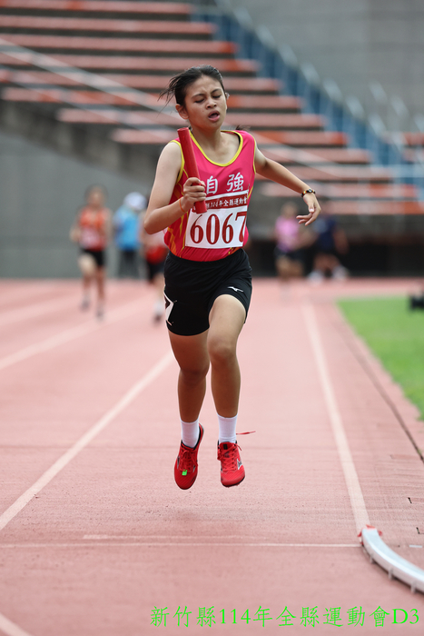 賀!本校田徑隊參加114年全縣運動會,成績優異圖片